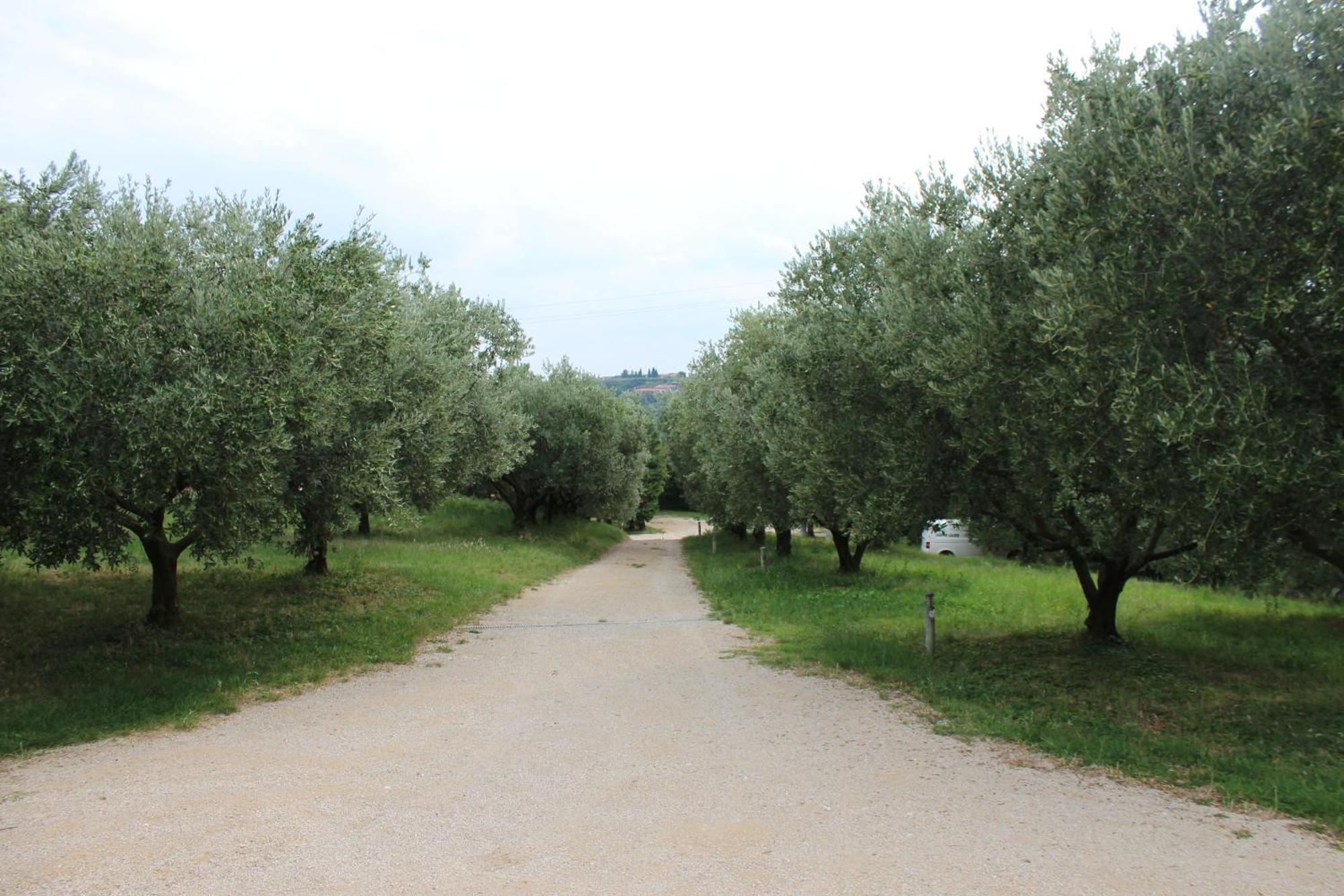 Agriturismo Spigolo Avesa Exteriör bild